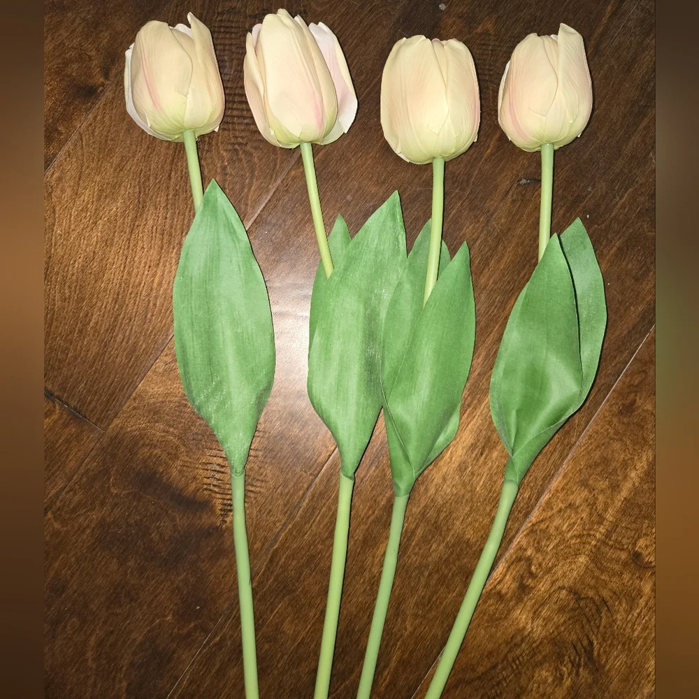 🌟Set Of 4 Elegant Cream Tulip Stems
